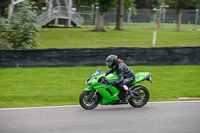 Evening Low_Mid Group Green Bikes